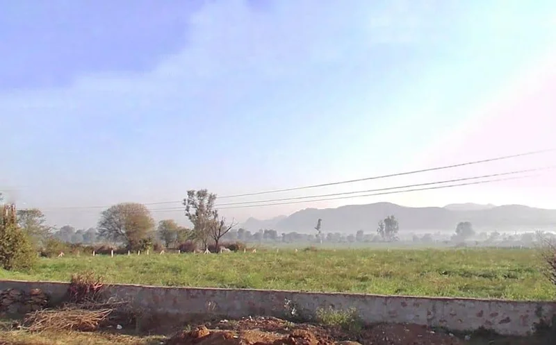 JJM2+7F Todiyar, Rajasthan, India preview 2