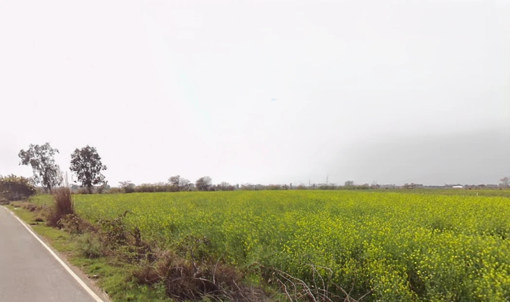 Talao, Haryana 124103, India