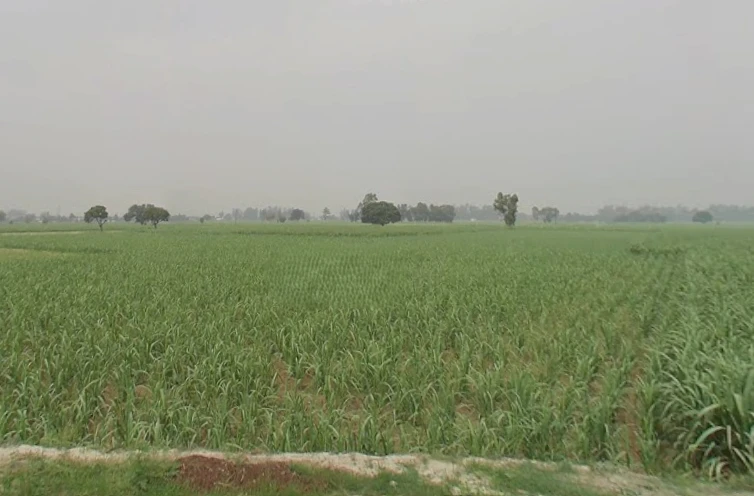 Hastinapur, Uttar Pradesh 250404, India