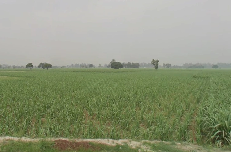 Hastinapur, Uttar Pradesh 250404, India