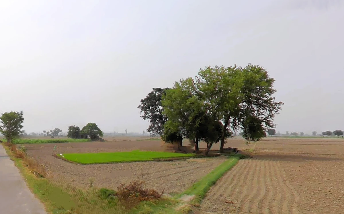 Jalalpur, Haryana 132104, India