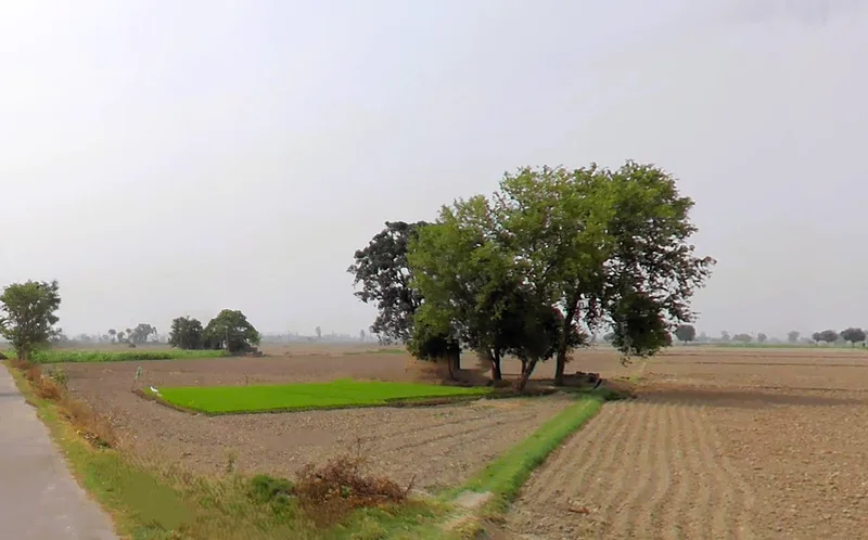 Jalalpur, Haryana 132104, India preview 2