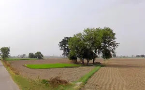 Jalalpur, Haryana 132104, India preview 2