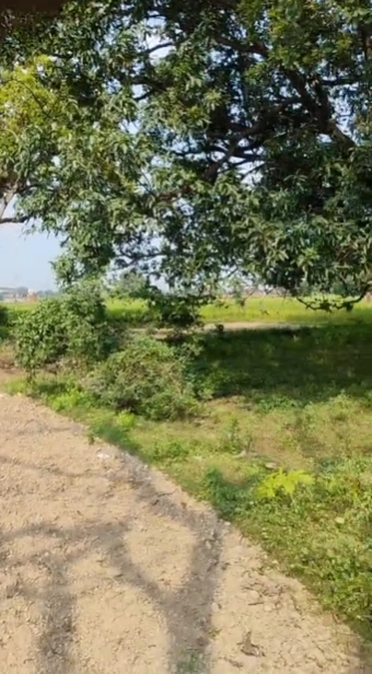 7VM2+9JJ, Varanasi, Birbhanpur, Uttar Pradesh, India