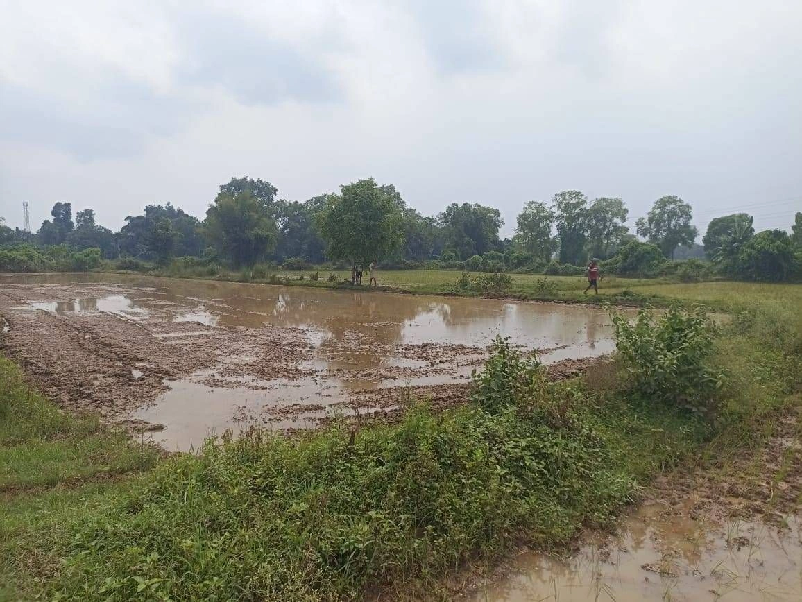 Routpada, Baleswar, Odisha, India