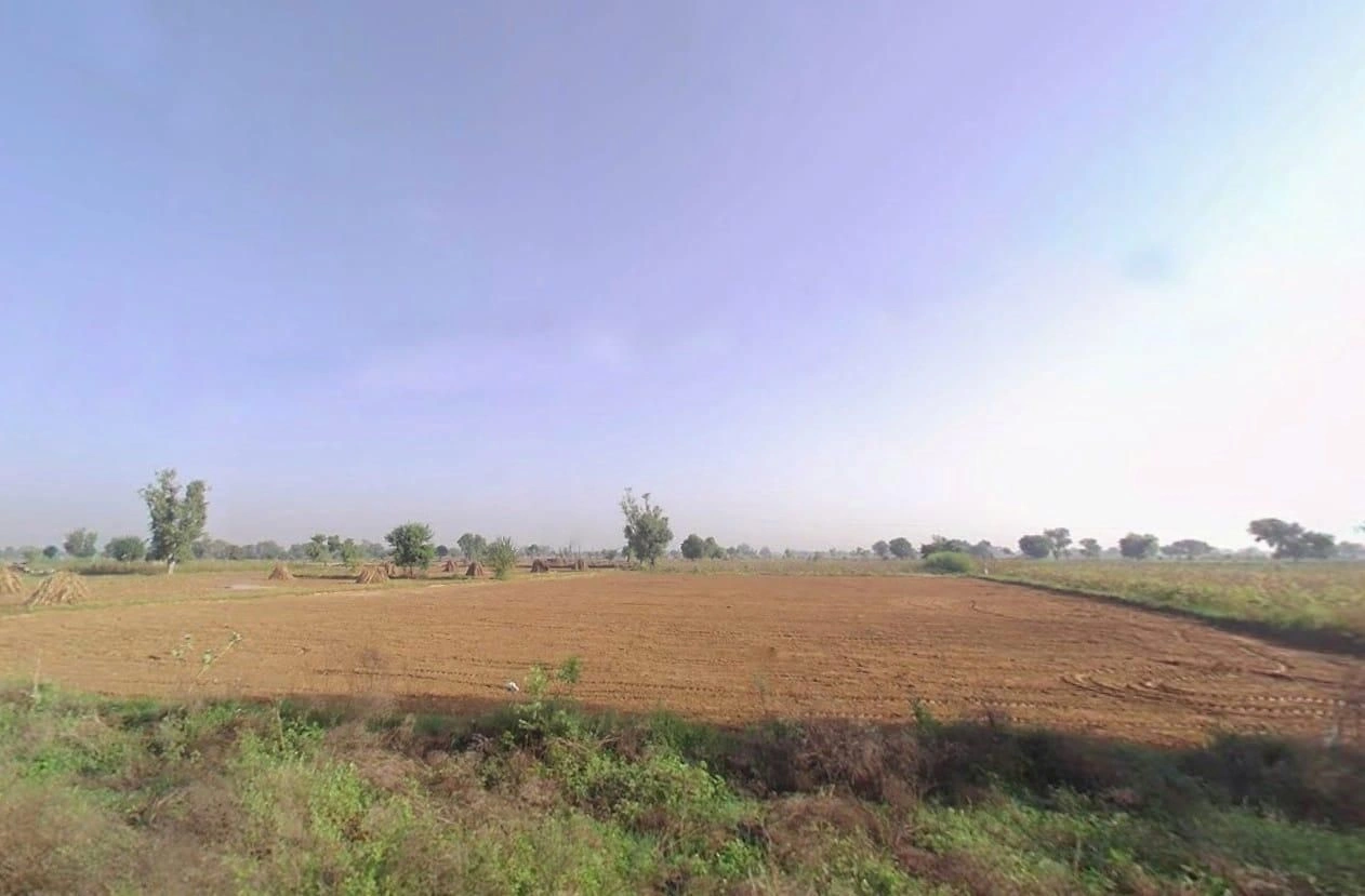 FVHP+CM Imlali, Rajasthan, India