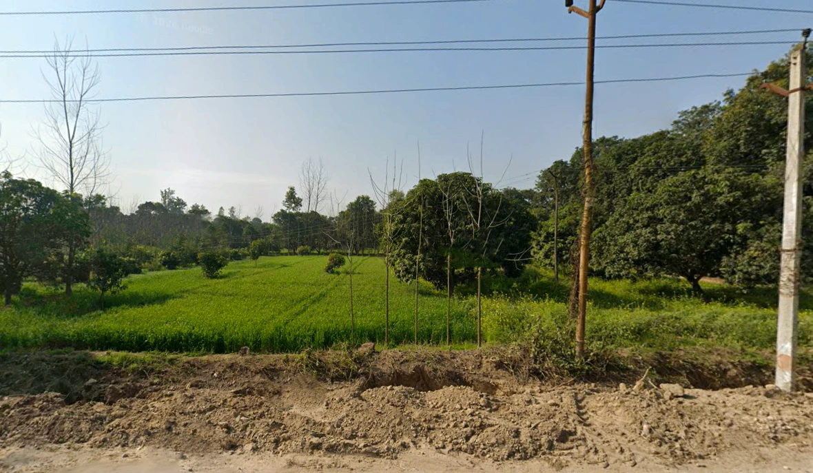 Mata Shakumbhari Devi Rd, Alipur Alis Bhagwala, Uttar Pradesh, India