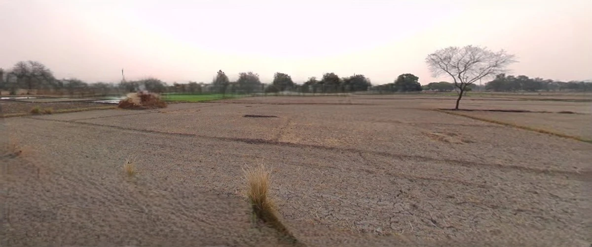 Bijnor, Uttar Pradesh 246701, India