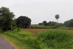 Baluda, Haryana 122103, India preview 2