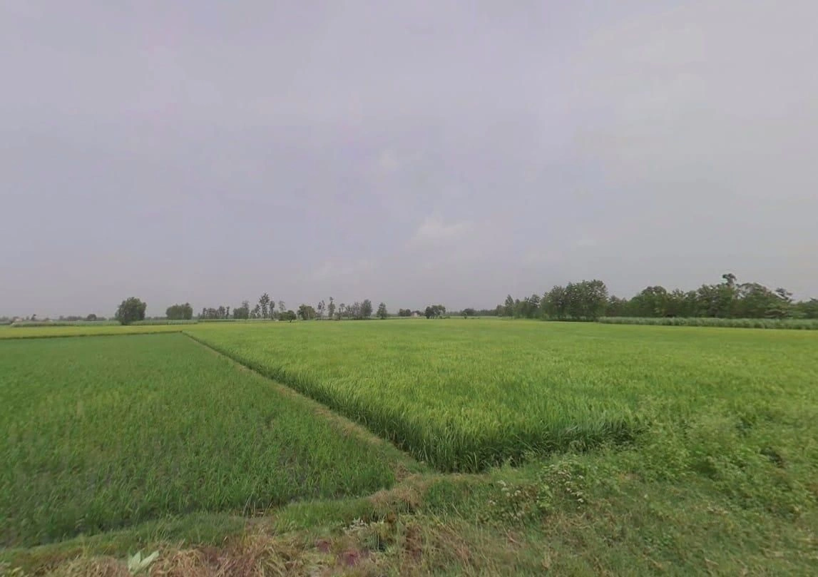 QXH8+F2 Firozpur Jhirka, Haryana, India