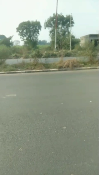 2JHC+CQR, Aligarh - Palwal Rd, Kurana, Uttar Pradesh 202137, India - Photo 2