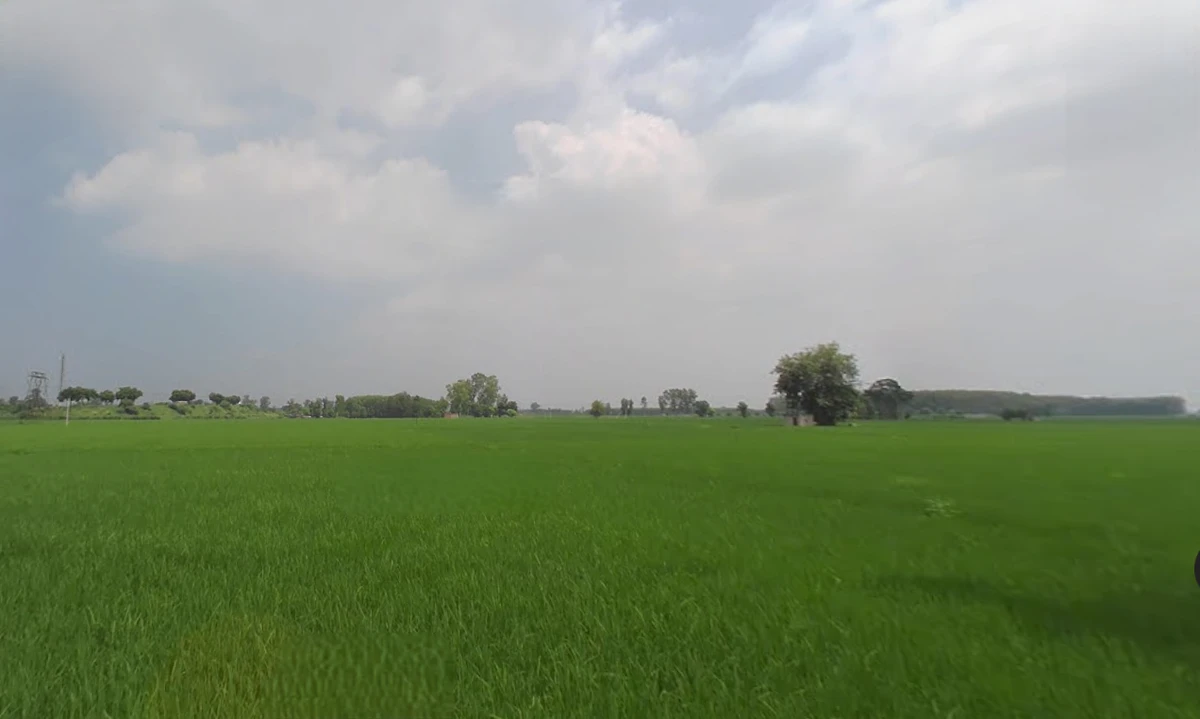 Ladhowal, Punjab 141008, India