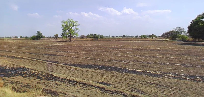 Agar, Madhya Pradesh 465441, India preview 3