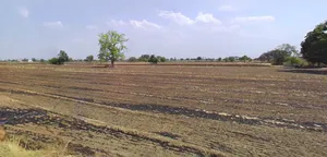 Agar, Madhya Pradesh 465441, India preview 3