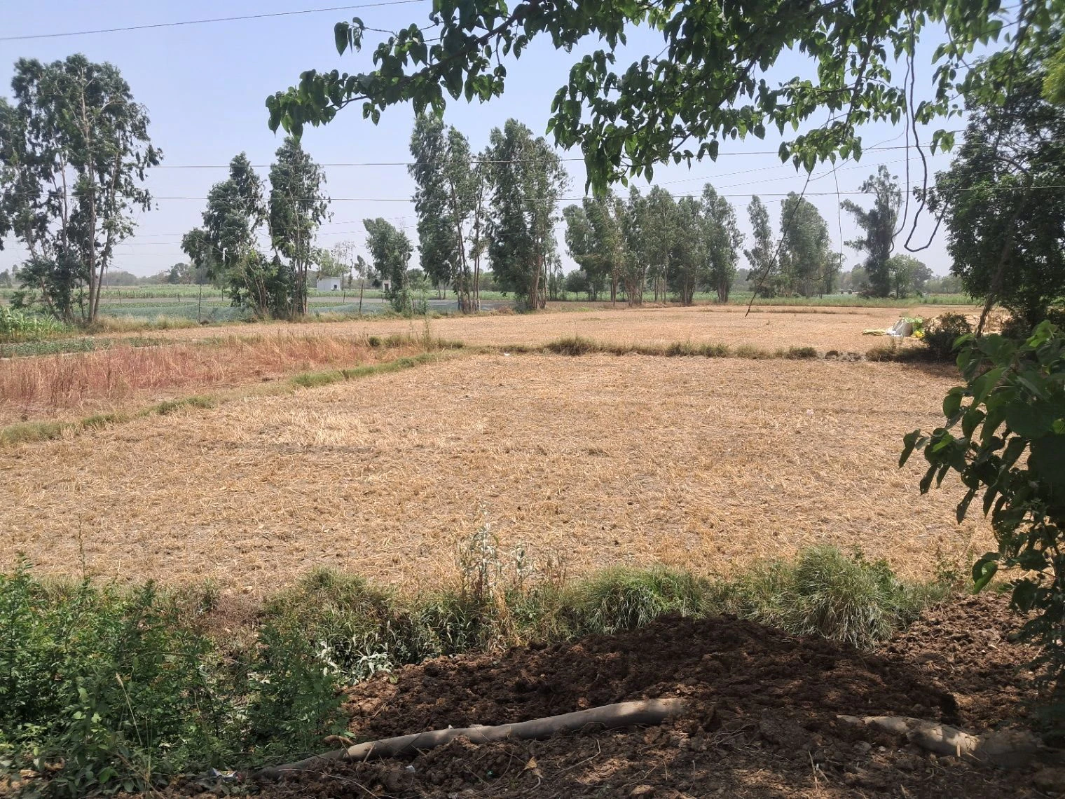 P3R6+7F Hunsepur, Uttar Pradesh, India