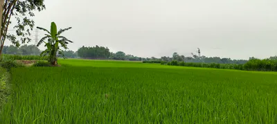 Barnagar, Madhya Pradesh 456771, India preview 2