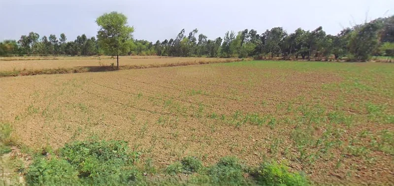 Bijnor, Uttar Pradesh 246701, India preview 3