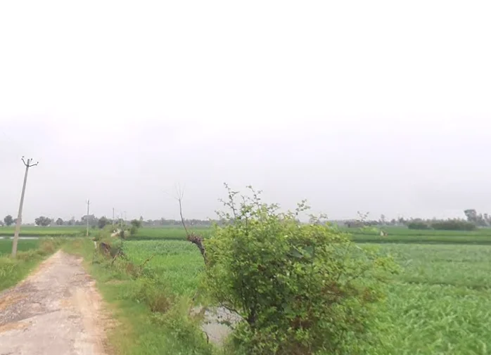 Kankather, Uttar Pradesh 244235, India preview 2