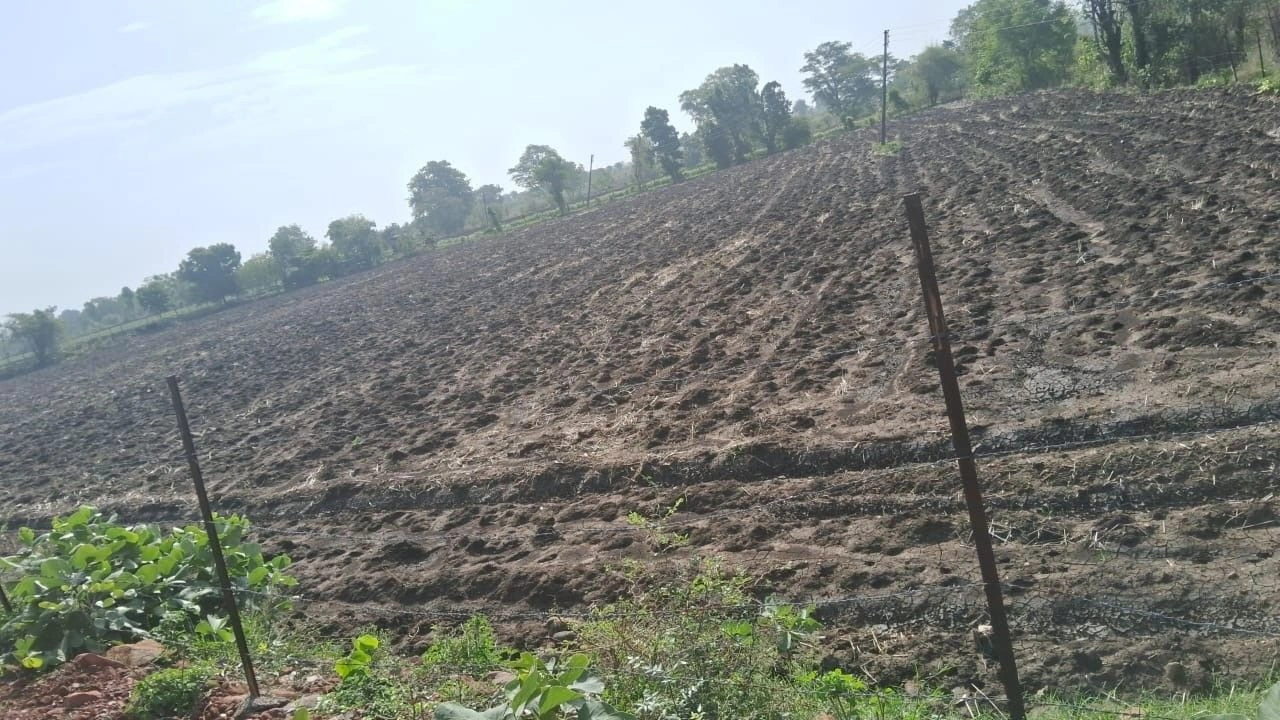 Punjapura, Dewas, Madhya Pradesh 455227, India
