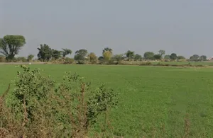 Bhopal, Madhya Pradesh, India preview 3