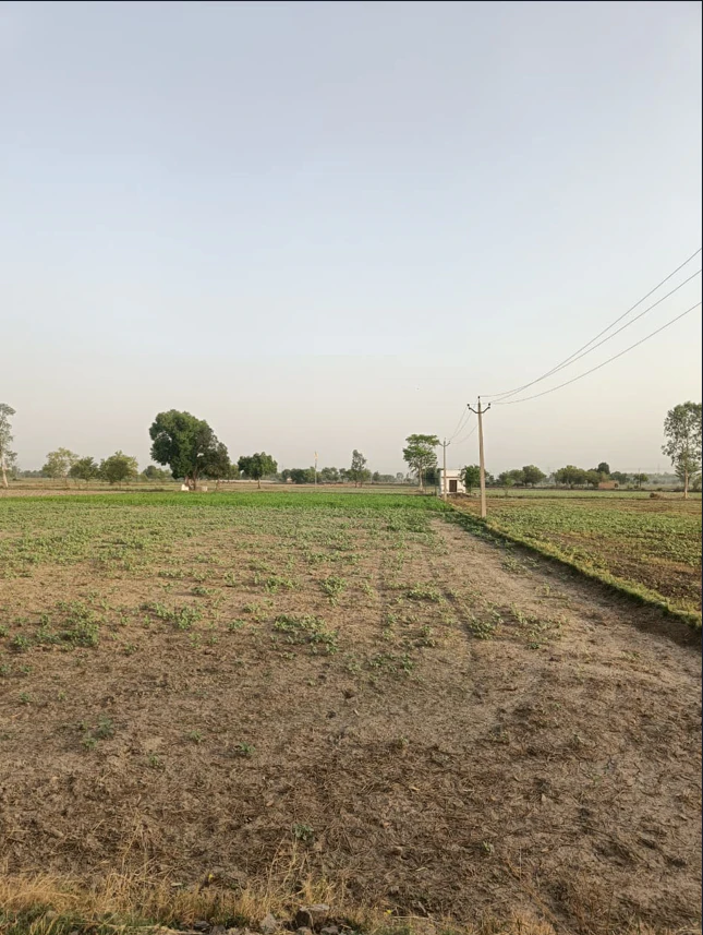 2RXH+5GX, Ujjain, Silodamori, Madhya Pradesh 456006, India