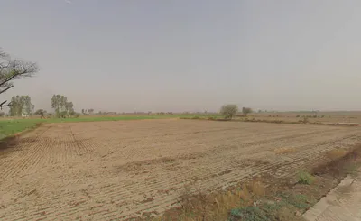 Faridpur, Haryana 122504, India preview 2