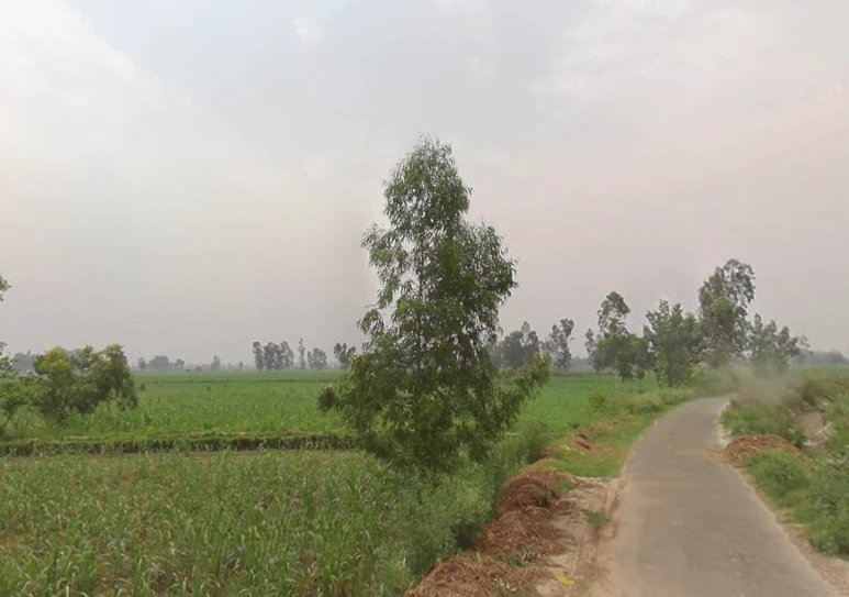 Hastinapur, Uttar Pradesh 250404, India