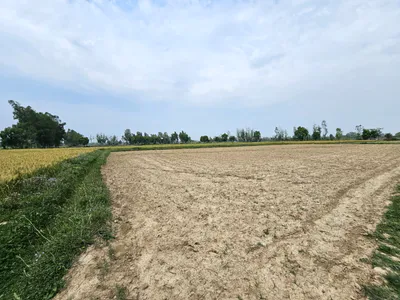 CC8H+X8, Mandha, Rajasthan 332602, India preview 2