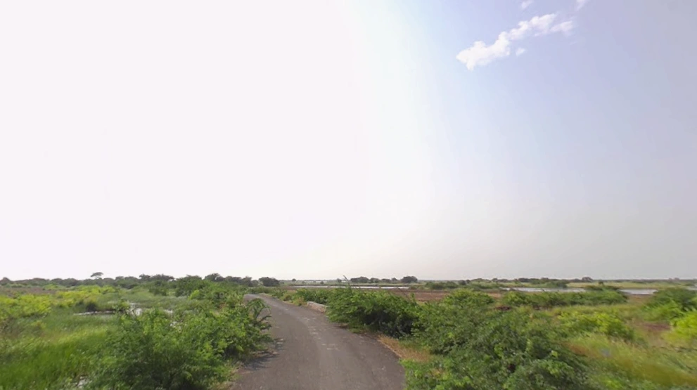 Navagam, Gujarat 382465, India