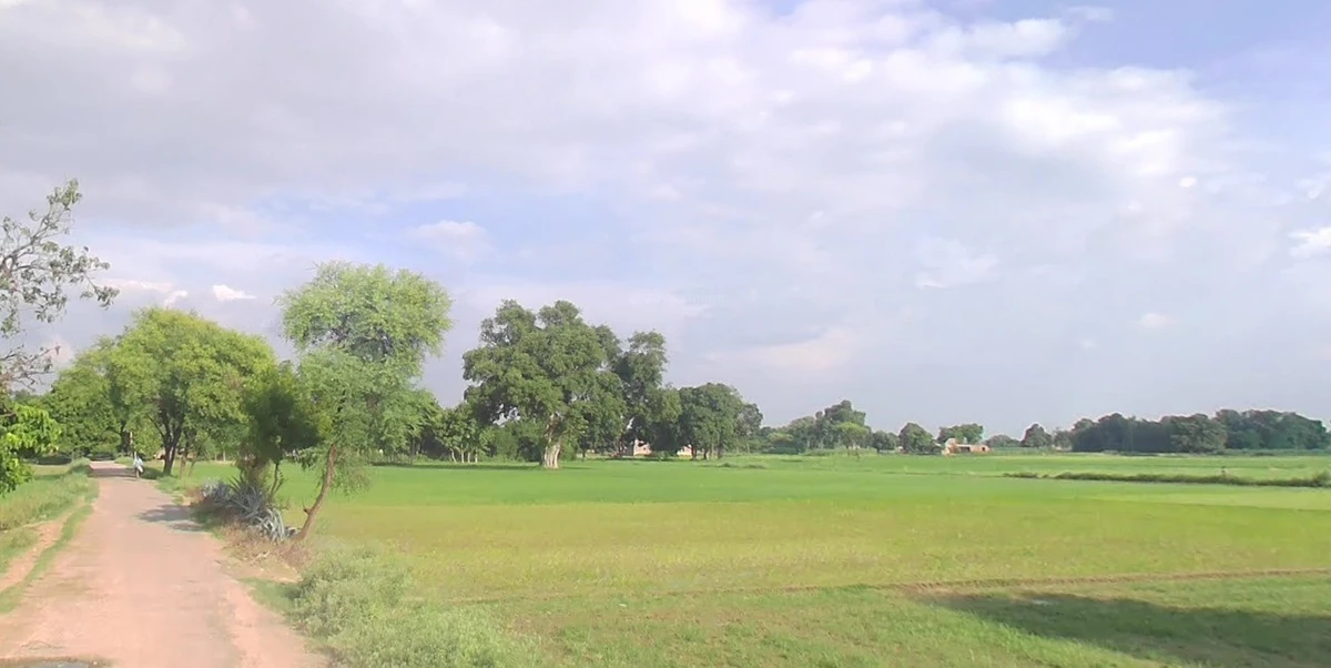 Naini, Prayagraj, Uttar Pradesh, India