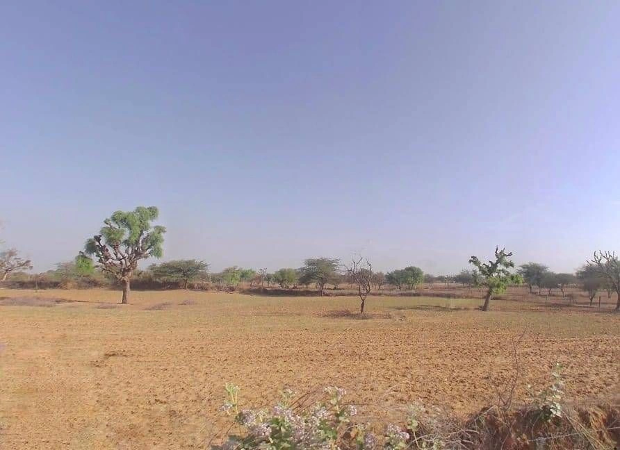 Palsana, Rajasthan 332402, India