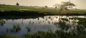 Helak, Rajasthan, India preview 2