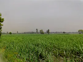 Hastinapur, Uttar Pradesh 250404, India preview 2