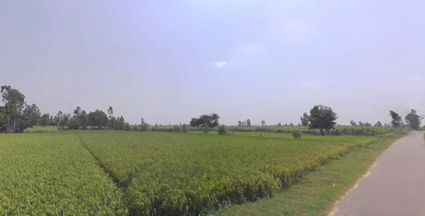 Chandpur, Uttar Pradesh 246725, India