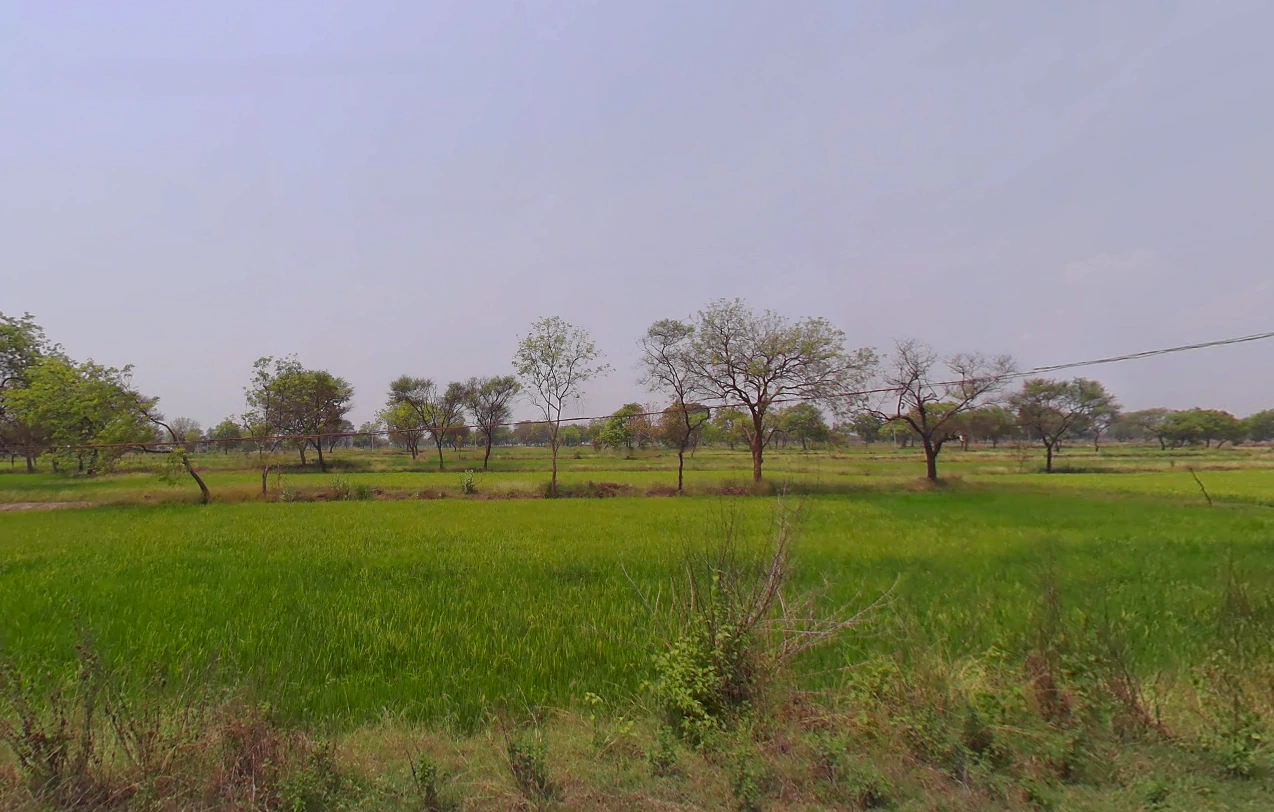 Bhalukonha, Chhattisgarh 491225, India