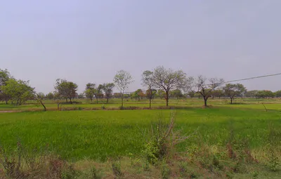 Bhalukonha, Chhattisgarh 491225, India preview 3