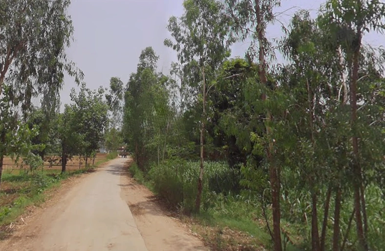 Hastinapur, Uttar Pradesh 250404, India