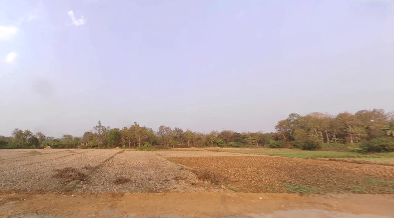 Mahipur, Odisha 752094, India