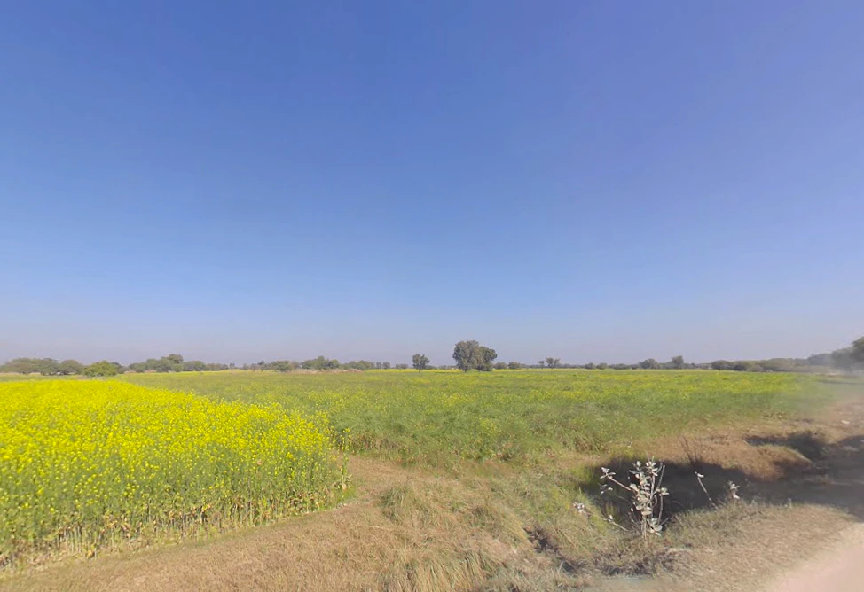 Kantoli, Rajasthan, India