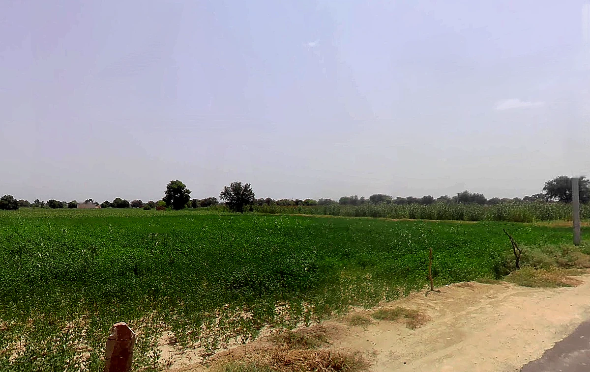 Chhani Badi, Rajasthan 335511, India