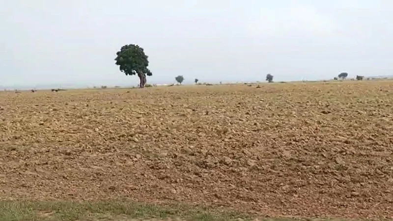 Katra, Madhya Pradesh 488333, India preview 2