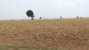 Katra, Madhya Pradesh 488333, India preview 2