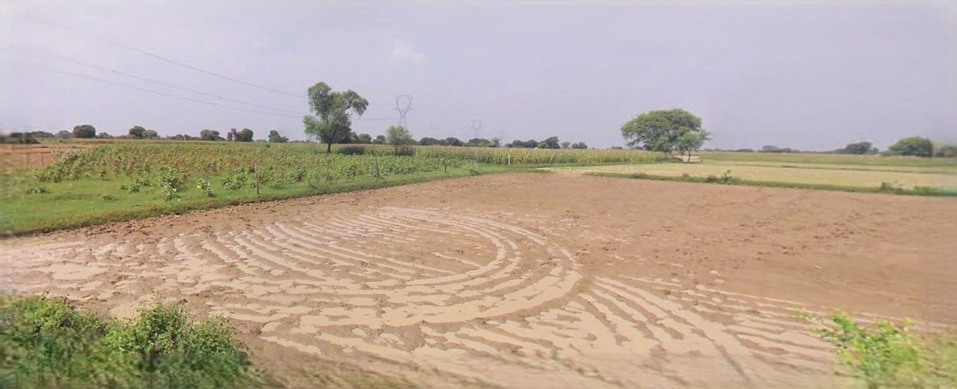 Barnagar, Madhya Pradesh 456771, India