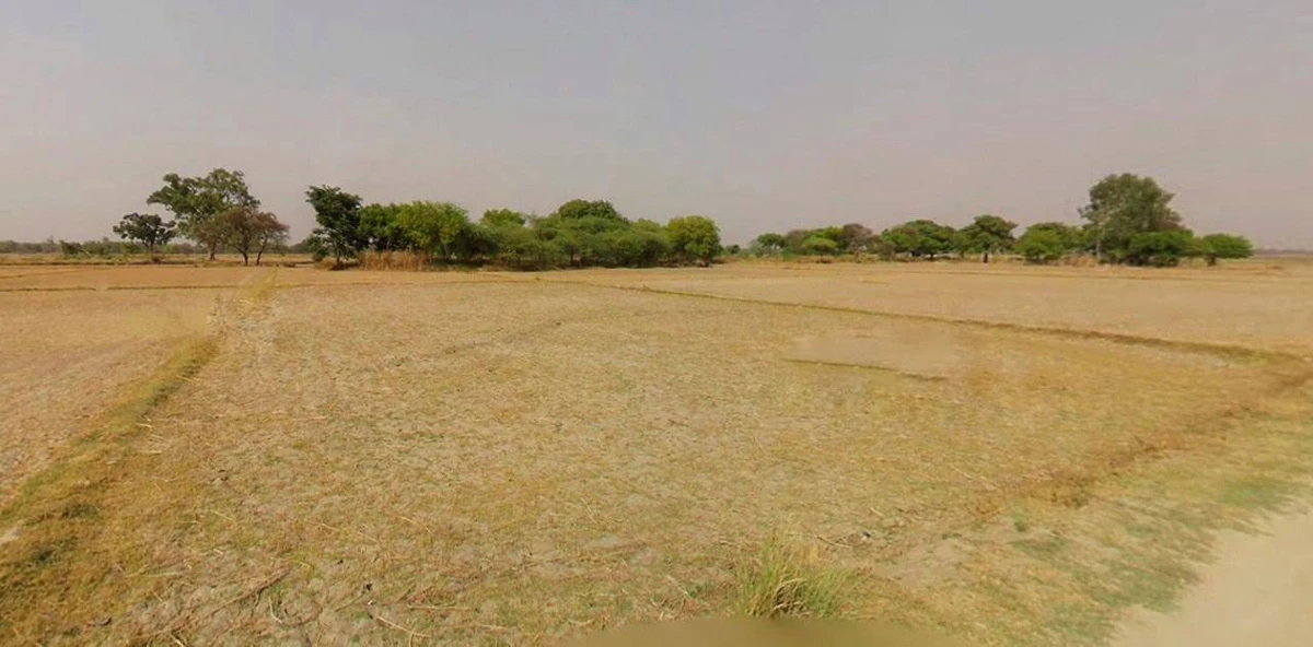 Sonipat, Haryana, India