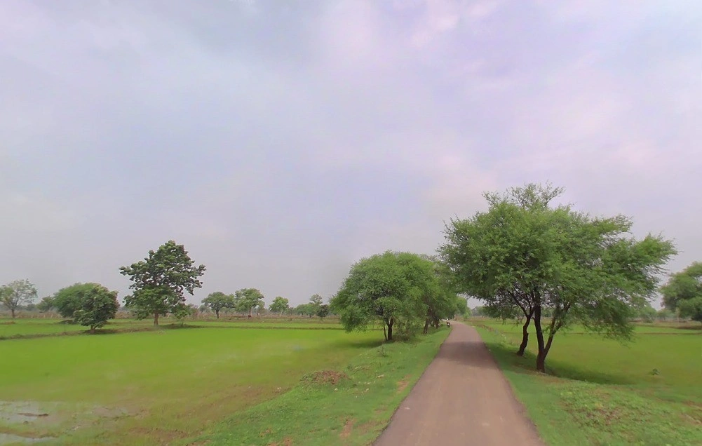 Bhalera, Chhattisgarh 493661, India