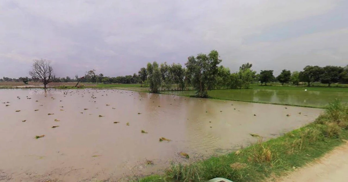 Sonipat, Haryana, India