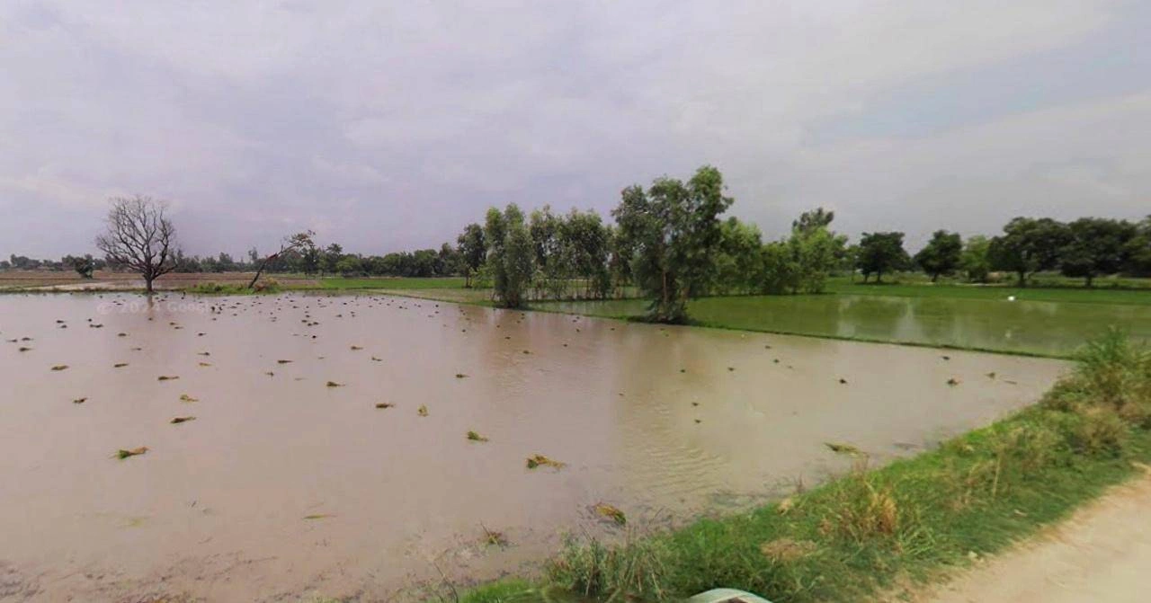 Sonipat, Haryana, India