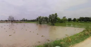 Sonipat, Haryana, India preview 2