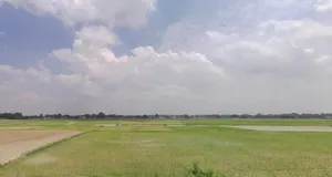 Nanaura Old Rd, Nanaura, Bihar 846005, India preview 3