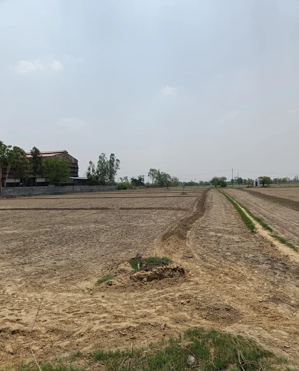 P95C+G44, Gangati Khurd, Rajasthan 303009, India